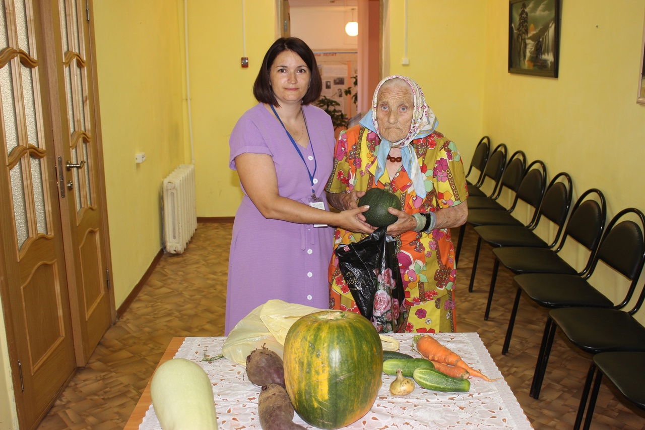 Устюжане активно участвуют в благотворительной акции «Доброе лукошко»