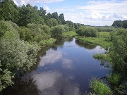 Экскурсия для детей по живописным берегам реки Мологи и ее притоков Ворожи и Ижины