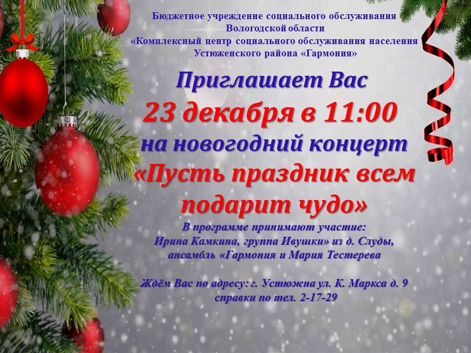 Новогодний концерт !