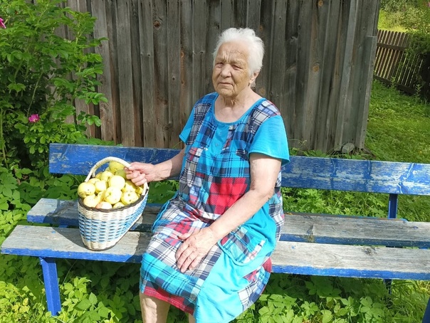 Яблочный спас. Польза яблок для организма.