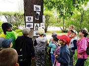 Квест-игра «Путешествие по лесным тропинкам»