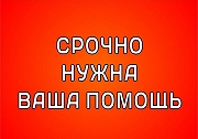 Срочно нужна Ваша помощь!