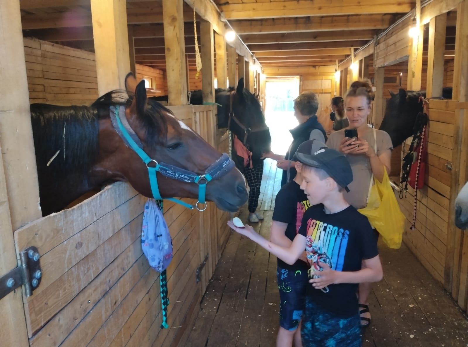 Иппотерапия – как метод реабилитации посредством адаптивной верховой езды.