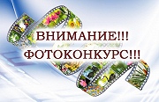 Внимание! Фотоконкурс!