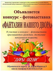 Конкурс-фотовыставка "Фантазии нашего двора"