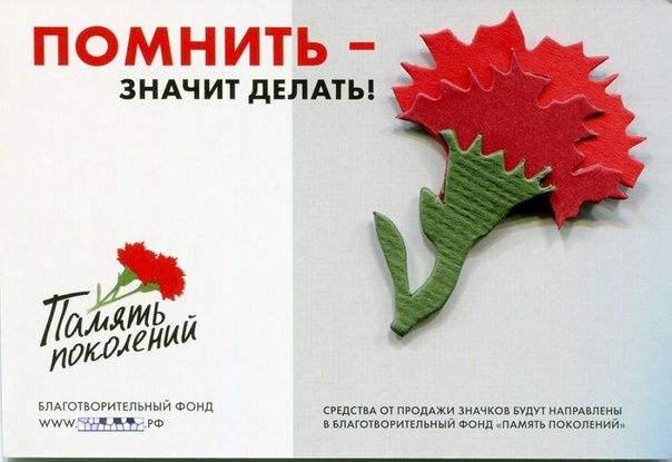 Цветок поддержки: присоединитесь к благотворительной акции «Красная гвоздика», чтобы помочь ветеранам России